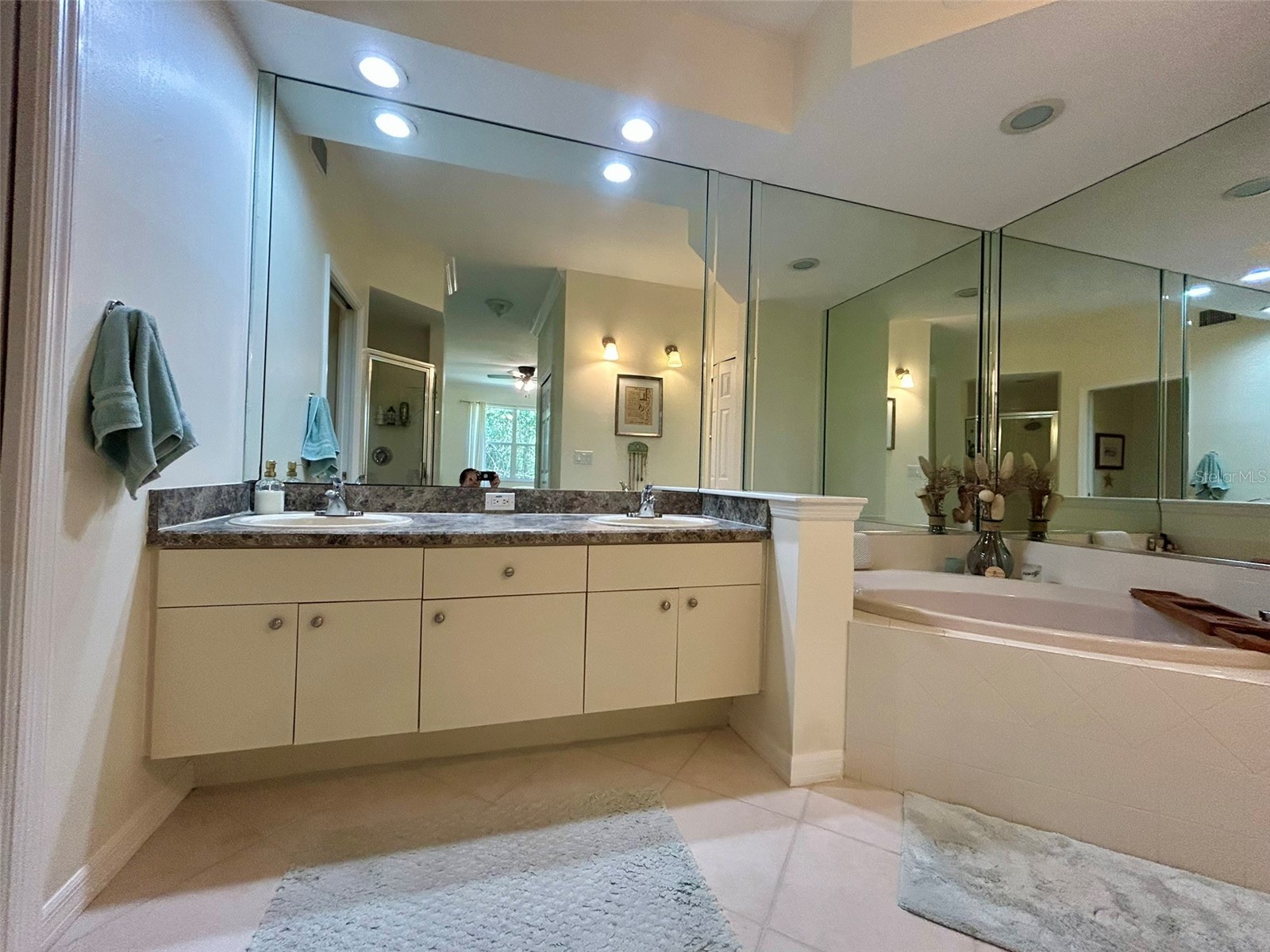 4244 Preserve Place Palm Harbor FL 34685 TB8509591 image23