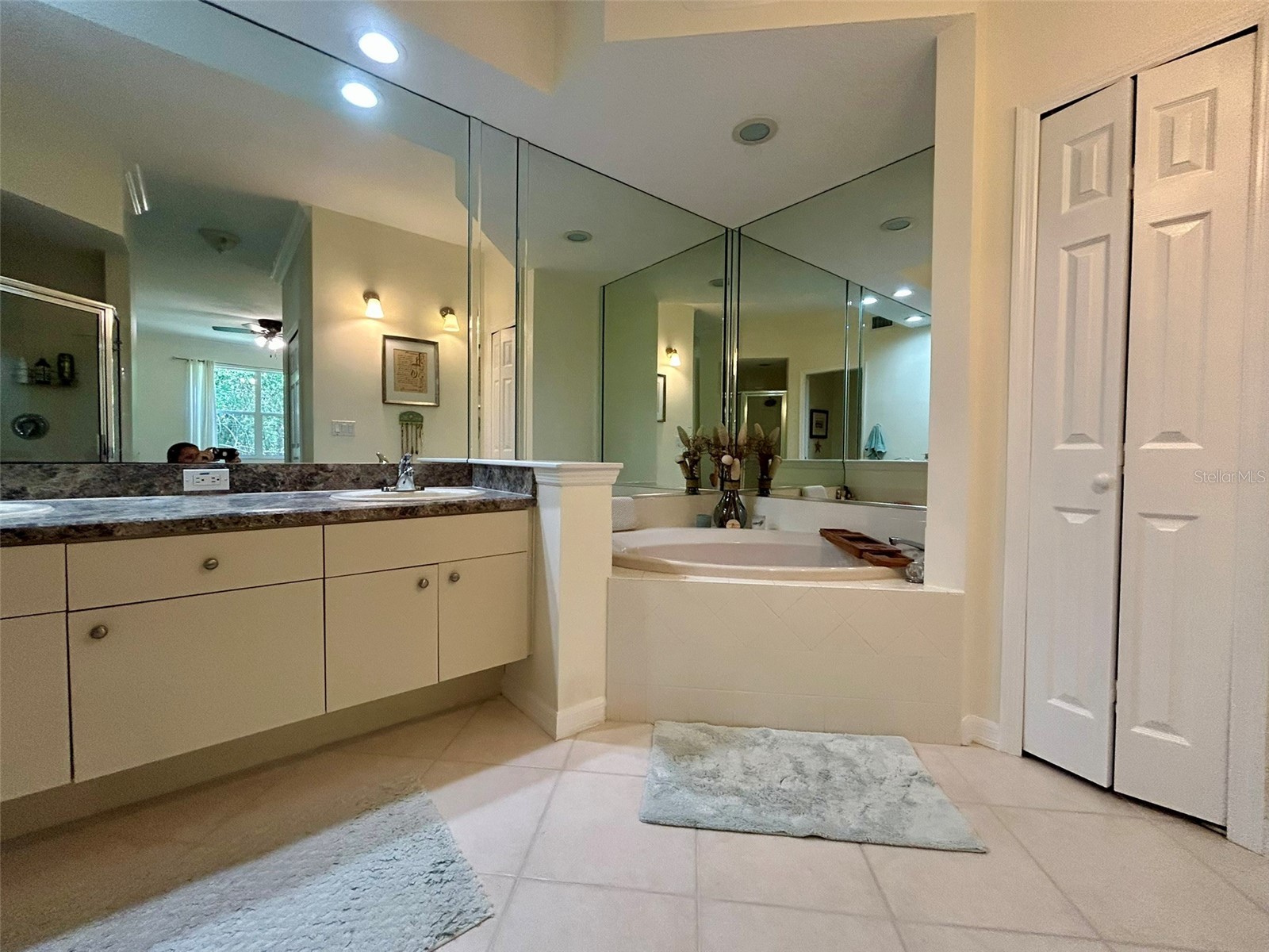 4244 Preserve Place Palm Harbor FL 34685 TB8509591 image24