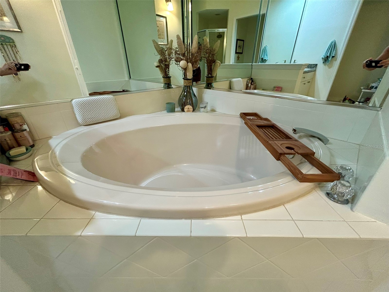 4244 Preserve Place Palm Harbor FL 34685 TB8509591 image25
