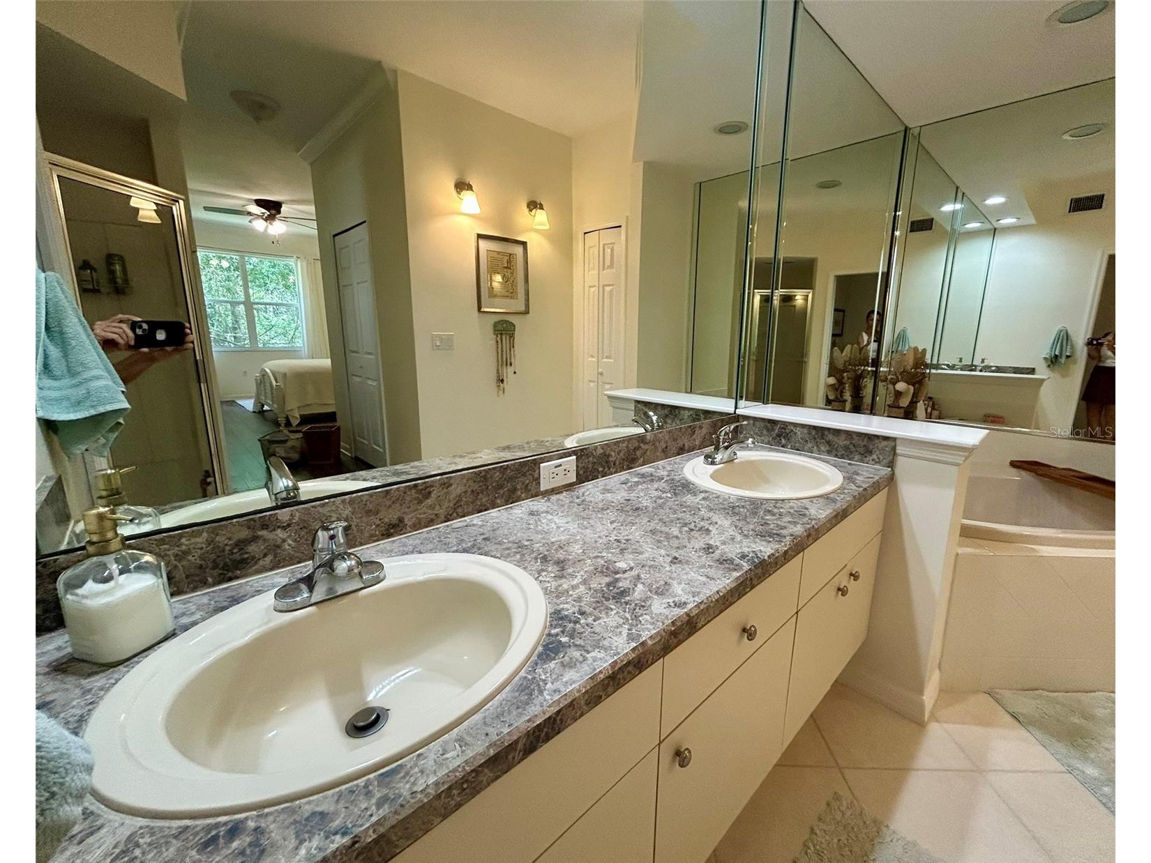 4244 Preserve Place Palm Harbor FL 34685 TB8509591 image26