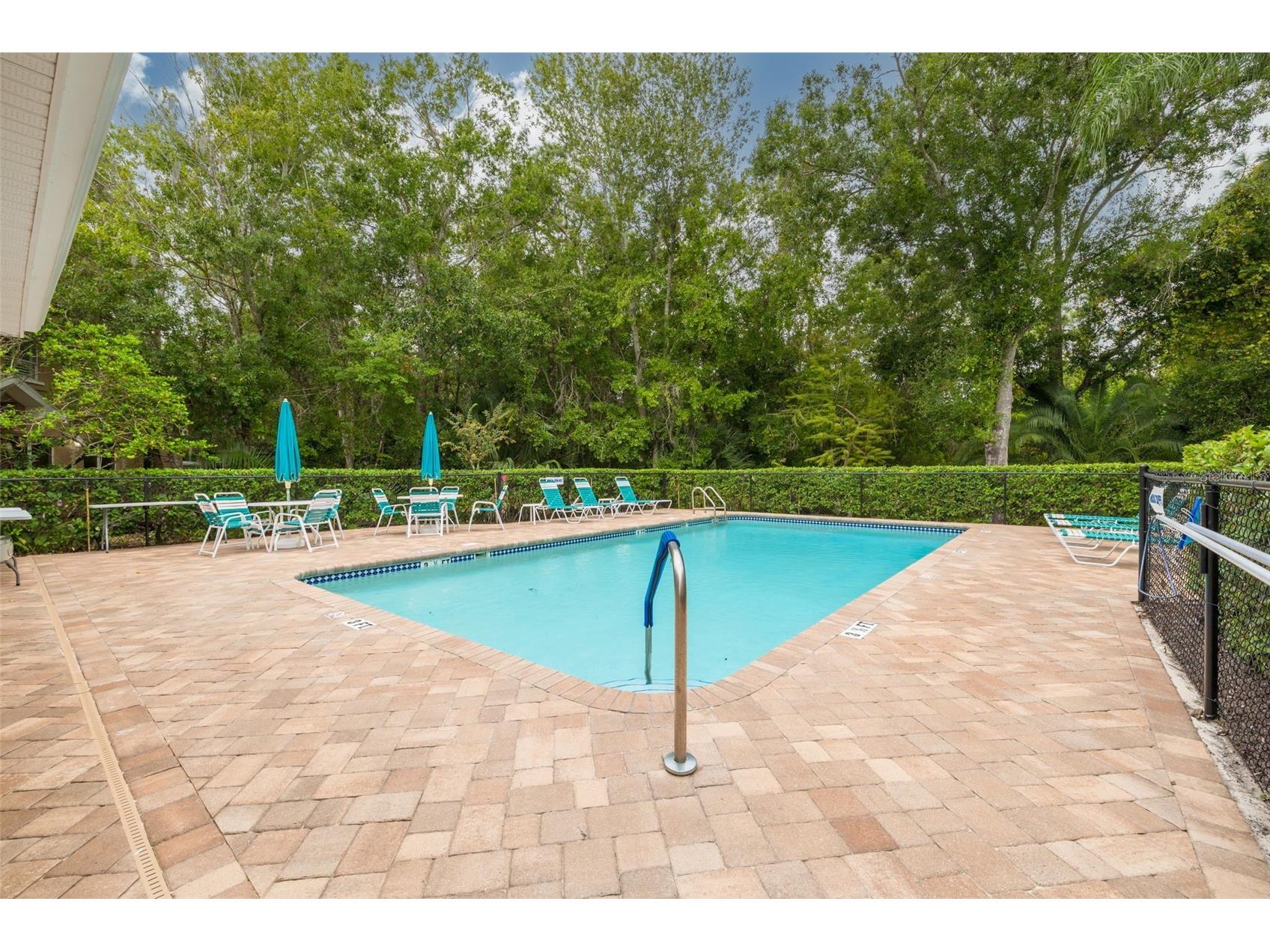 4244 Preserve Place Palm Harbor FL 34685 TB8509591 image39