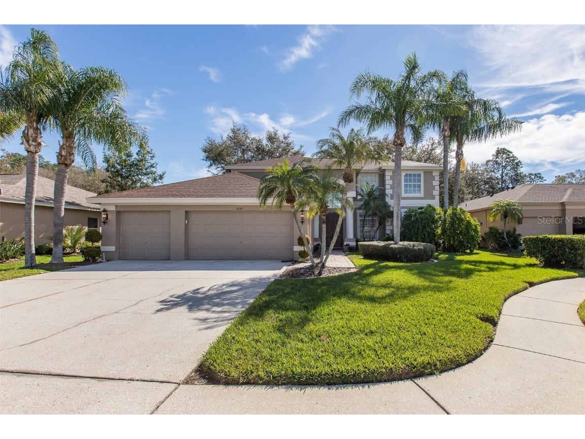 4244 Rotherham Court Palm Harbor FL 34685 W7861971 image1