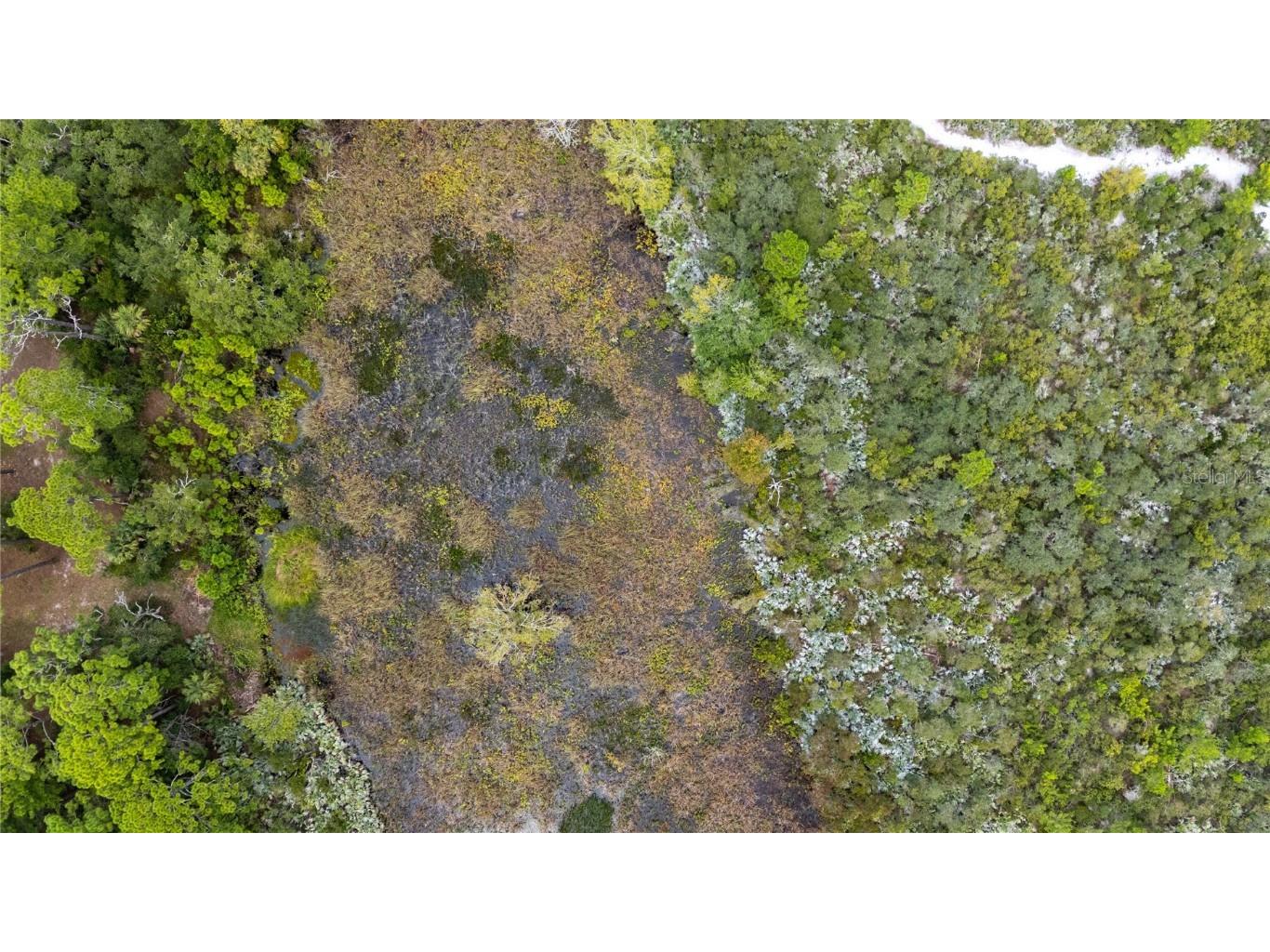 4245 Clinton Cemetery Road Edgewater FL 32141 NS1085883 image59