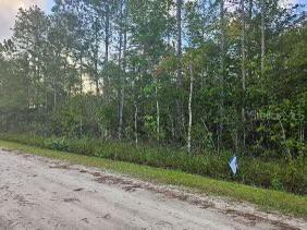 4245 Florence St Hastings FL 32145 FC300554 image1