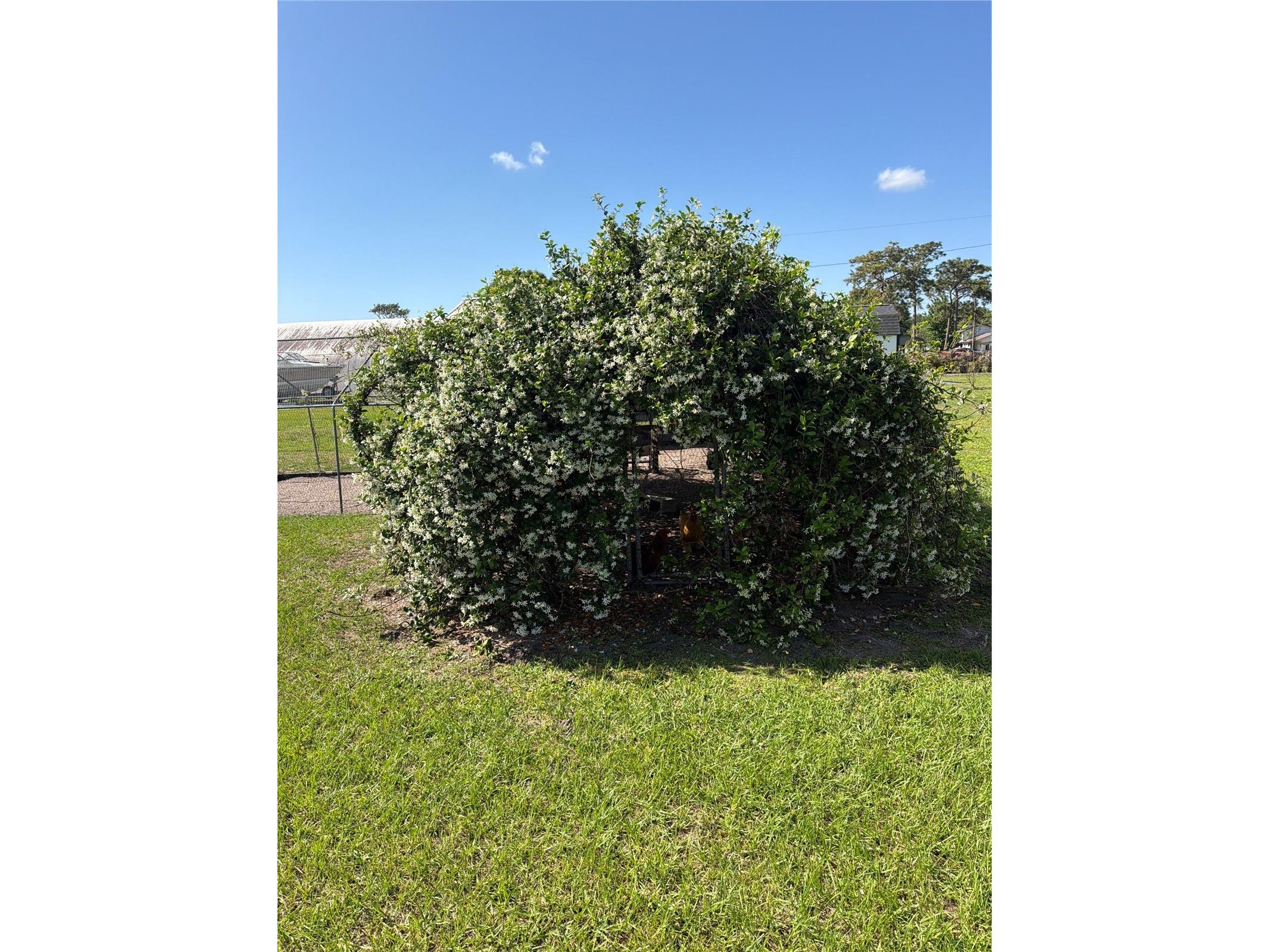 4245 Henry J Avenue Saint Cloud FL 34772 S5148147 image25