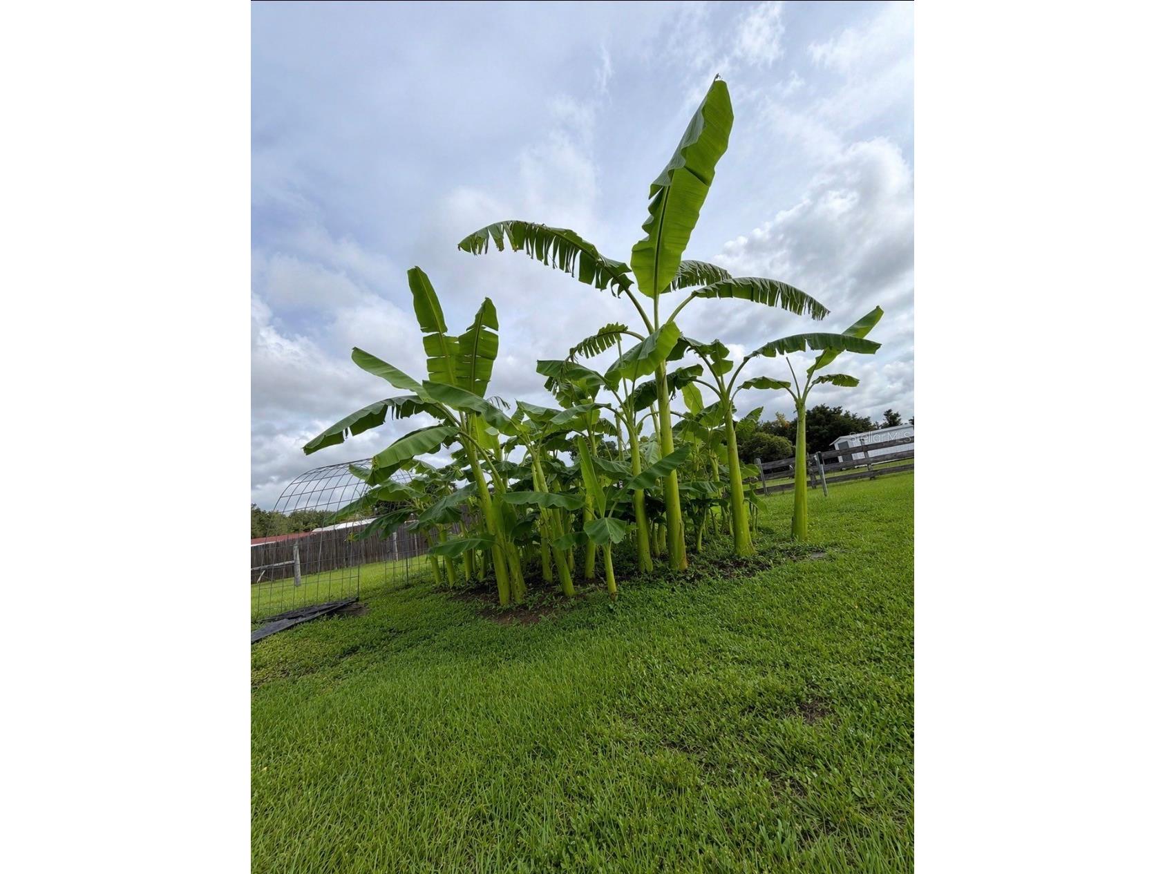 4245 Henry J Avenue Saint Cloud FL 34772 S5148147 image26