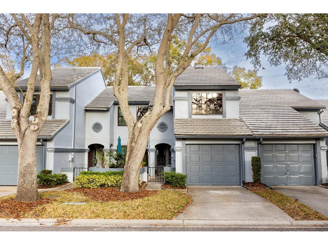 4246 Brentwood Park Circle Tampa FL 33624 T3424550 image1