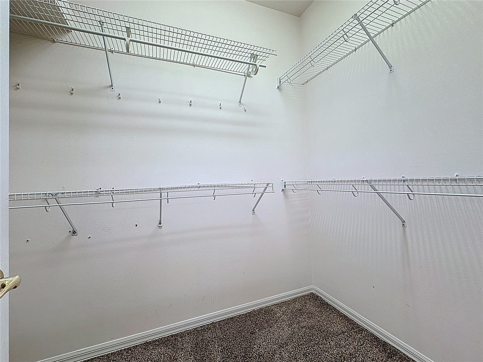 4246 Newland Street Clermont FL 34711 G5103919 image21