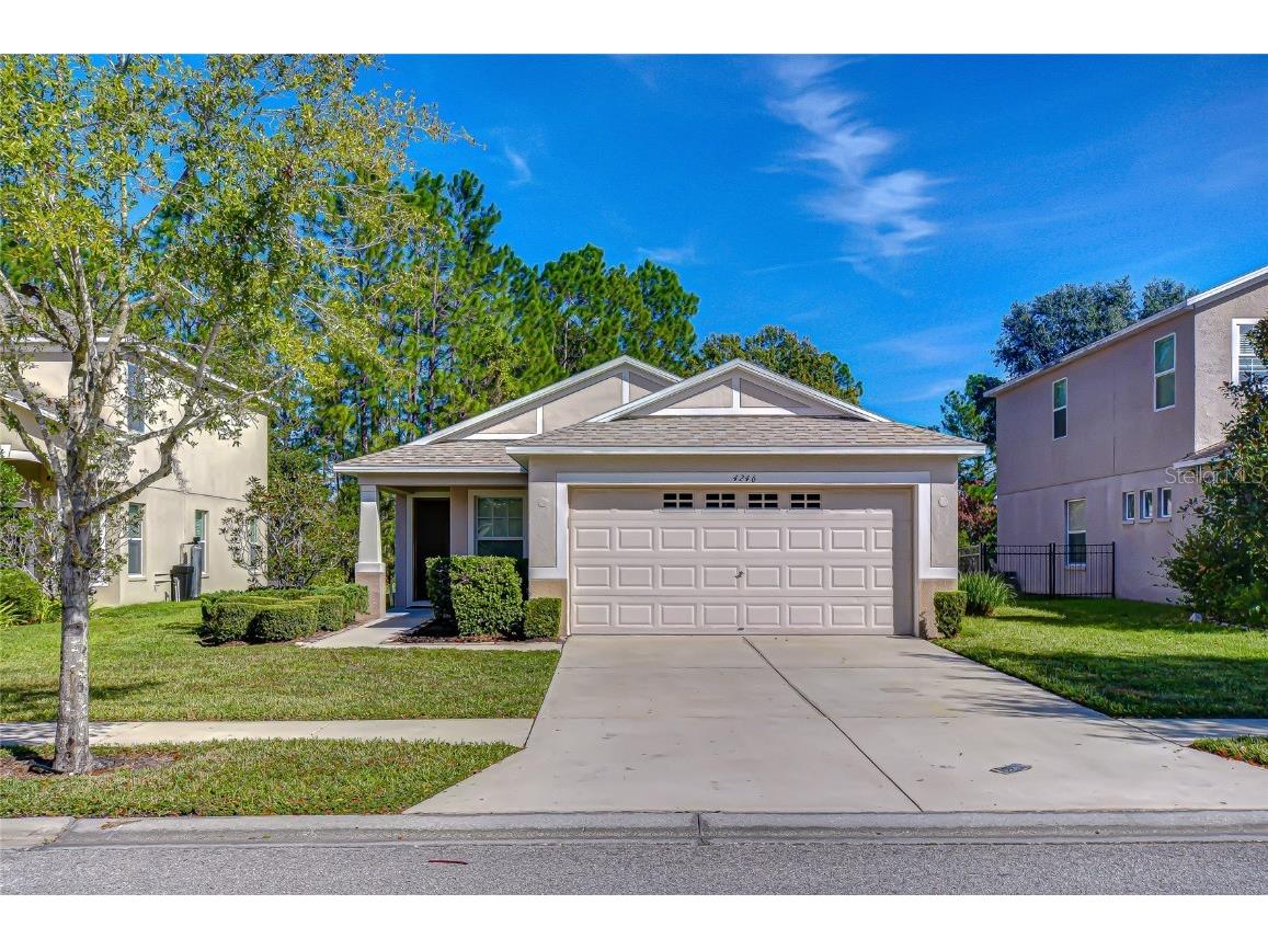 4246 Warwick Hills Drive Wesley Chapel FL 33543 TB8447581 image1