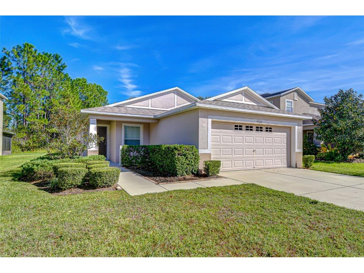 4246 Warwick Hills Drive Wesley Chapel FL 33543 TB8447581 image10