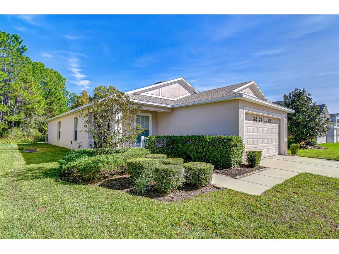 4246 Warwick Hills Drive Wesley Chapel FL 33543 TB8447581 image11