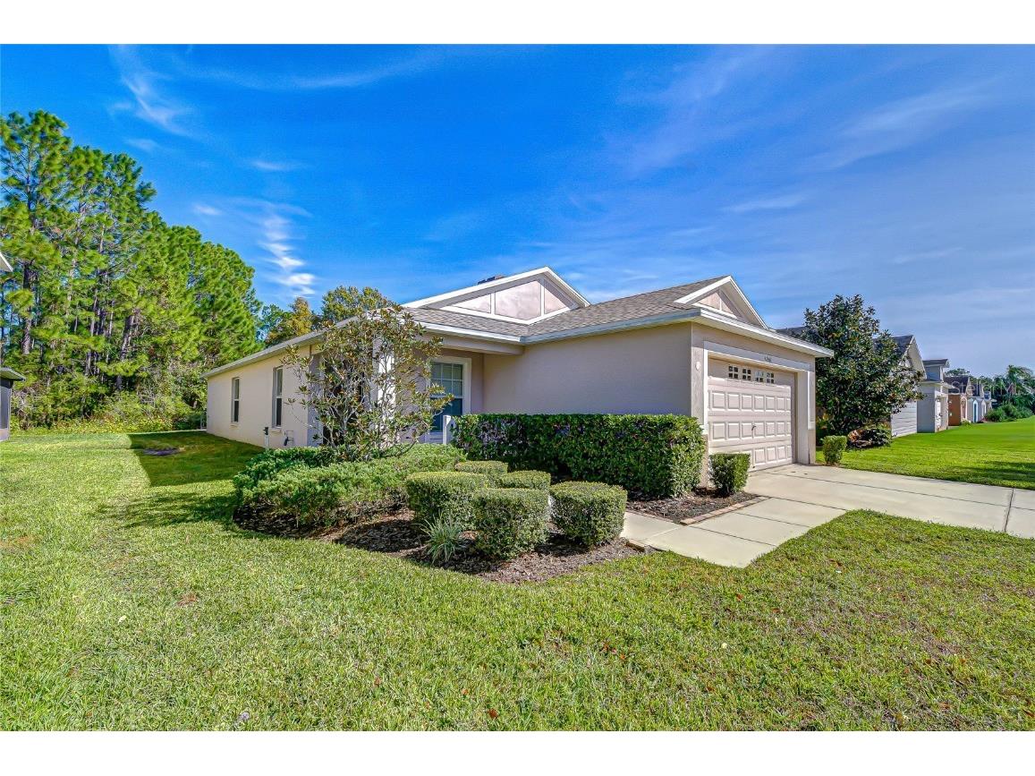 4246 Warwick Hills Drive Wesley Chapel FL 33543 TB8447581 image12