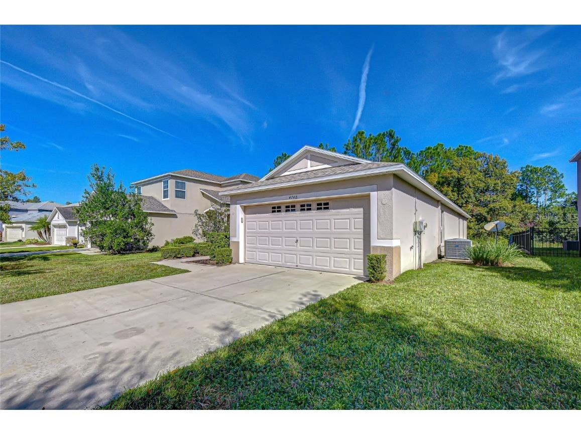 4246 Warwick Hills Drive Wesley Chapel FL 33543 TB8447581 image13