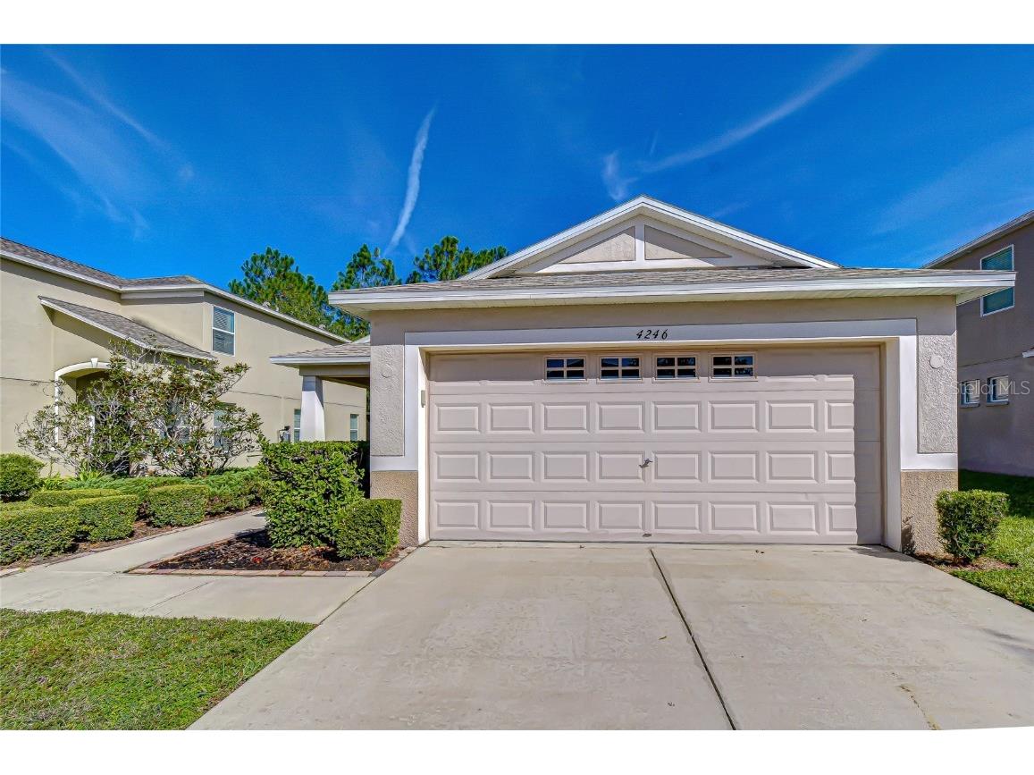 4246 Warwick Hills Drive Wesley Chapel FL 33543 TB8447581 image15