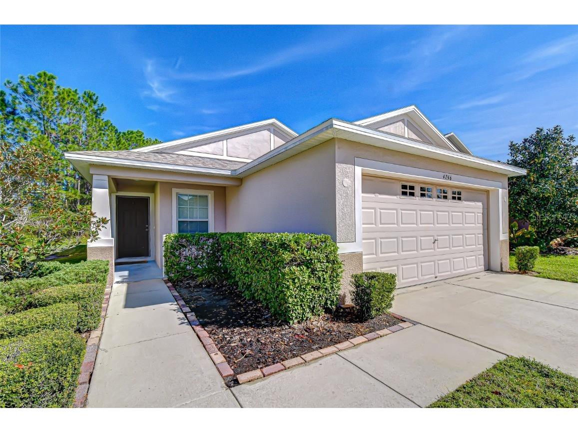 4246 Warwick Hills Drive Wesley Chapel FL 33543 TB8447581 image17
