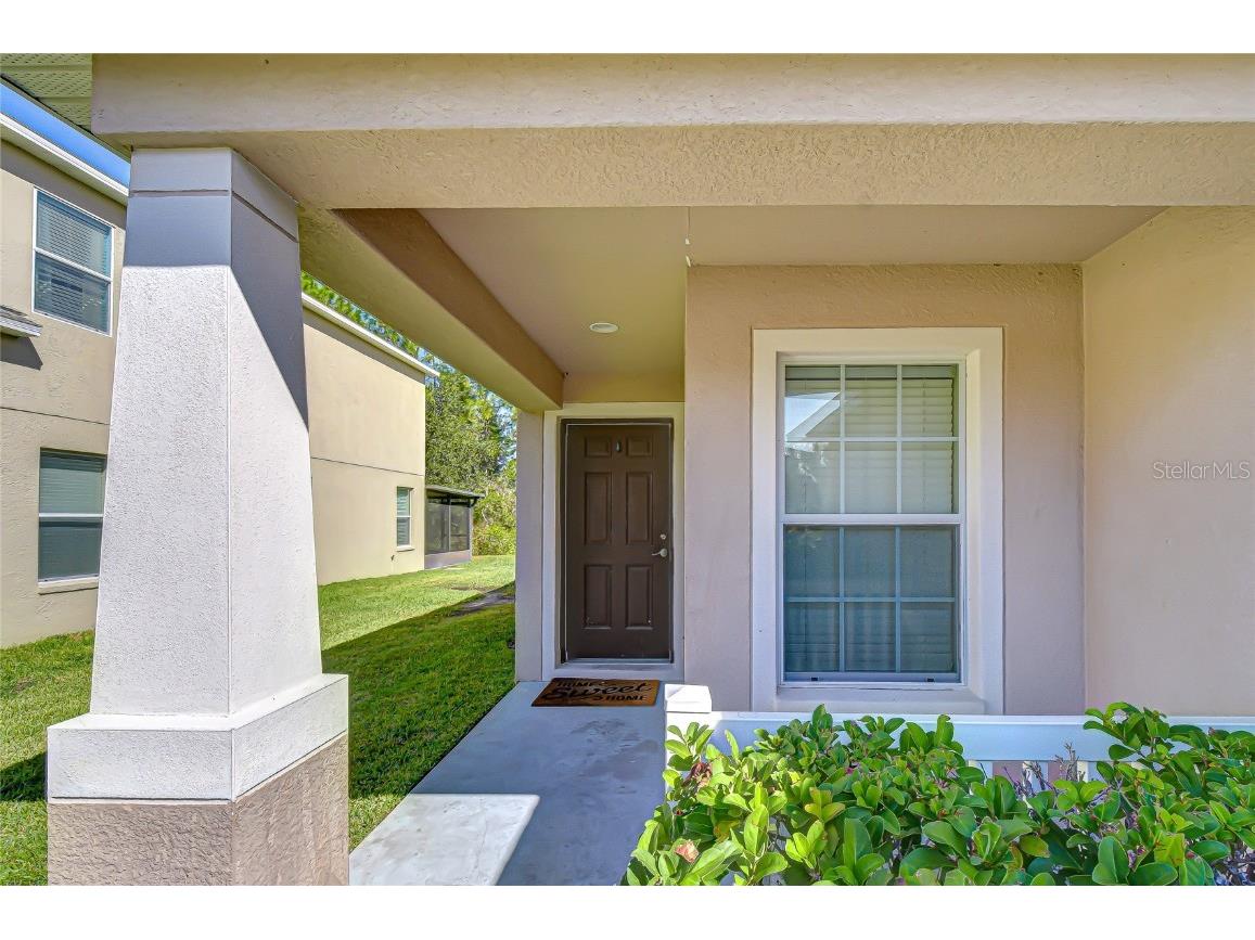 4246 Warwick Hills Drive Wesley Chapel FL 33543 TB8447581 image18