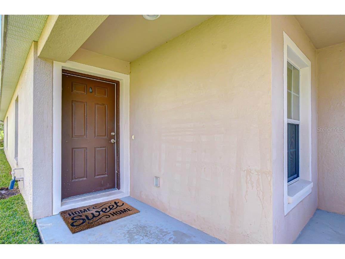 4246 Warwick Hills Drive Wesley Chapel FL 33543 TB8447581 image21