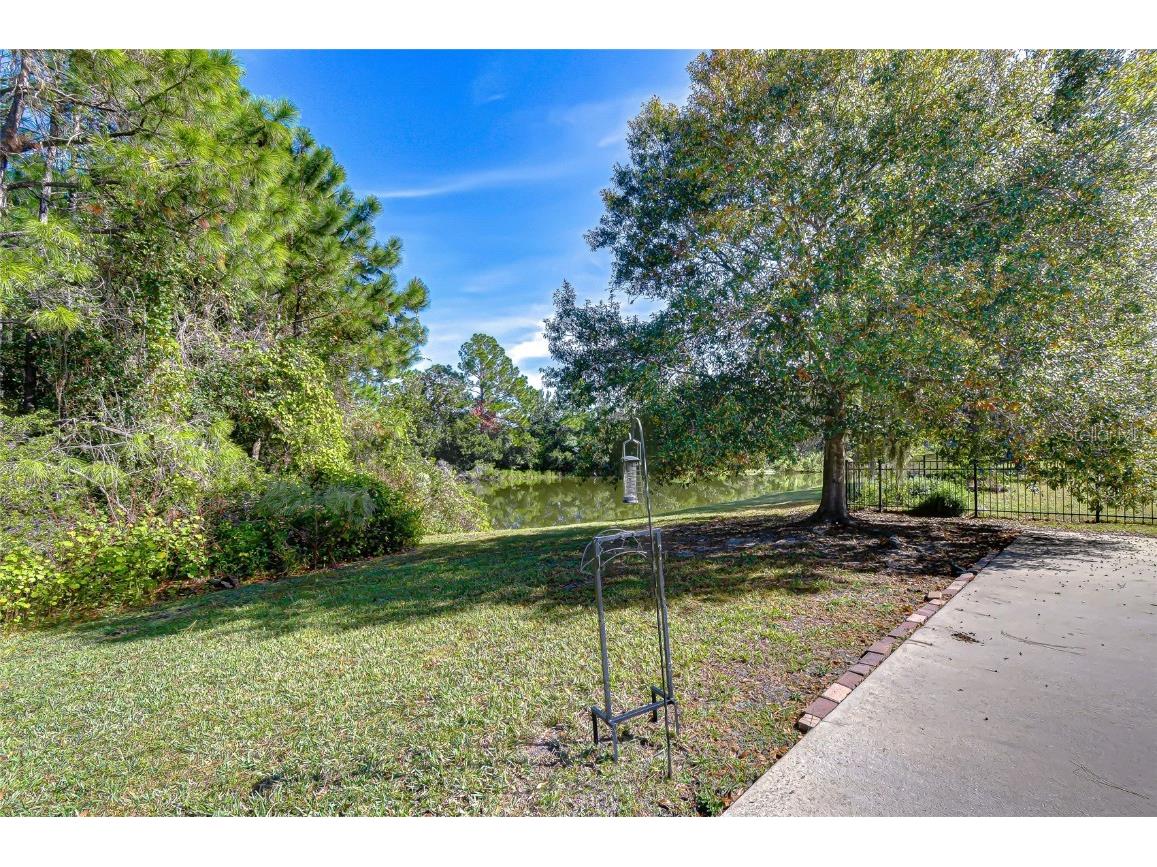 4246 Warwick Hills Drive Wesley Chapel FL 33543 TB8447581 image23