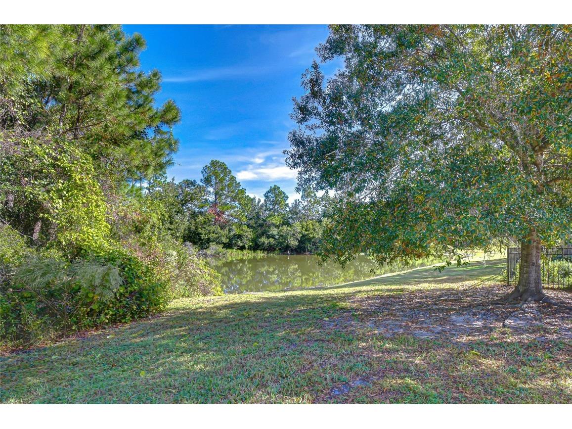 4246 Warwick Hills Drive Wesley Chapel FL 33543 TB8447581 image24