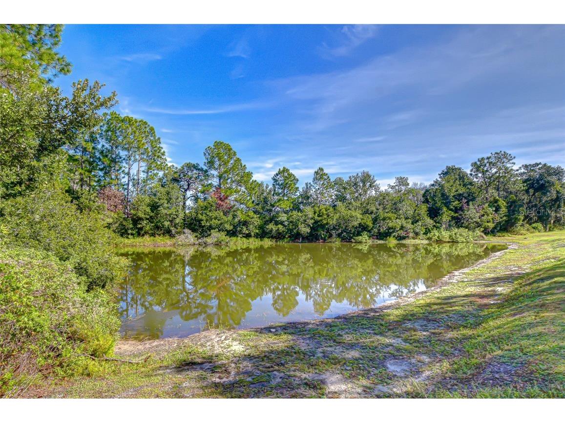 4246 Warwick Hills Drive Wesley Chapel FL 33543 TB8447581 image29