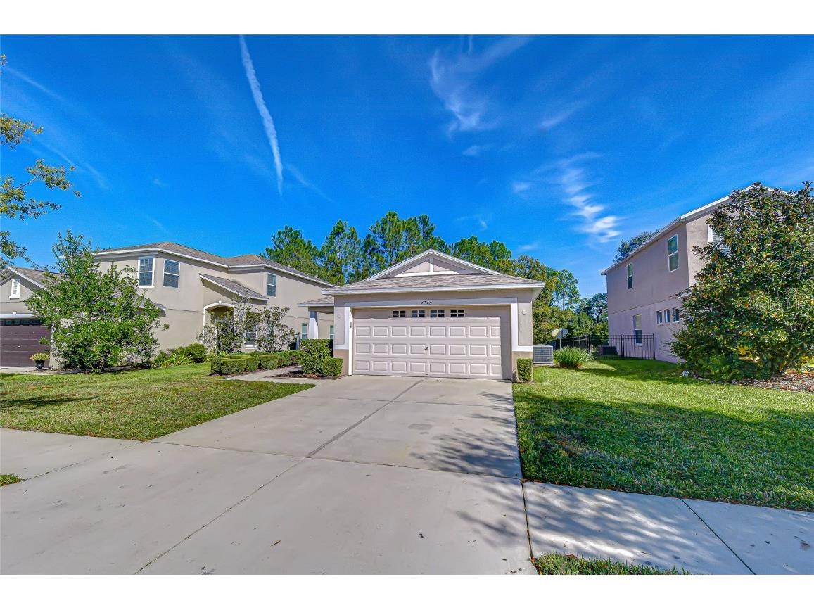 4246 Warwick Hills Drive Wesley Chapel FL 33543 TB8447581 image3