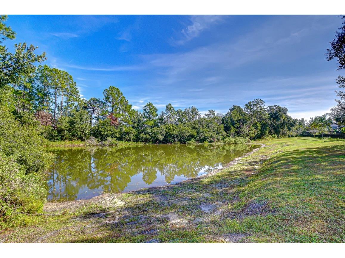 4246 Warwick Hills Drive Wesley Chapel FL 33543 TB8447581 image30