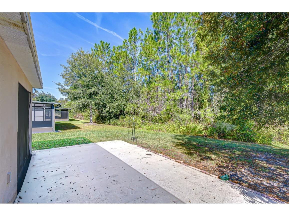 4246 Warwick Hills Drive Wesley Chapel FL 33543 TB8447581 image37