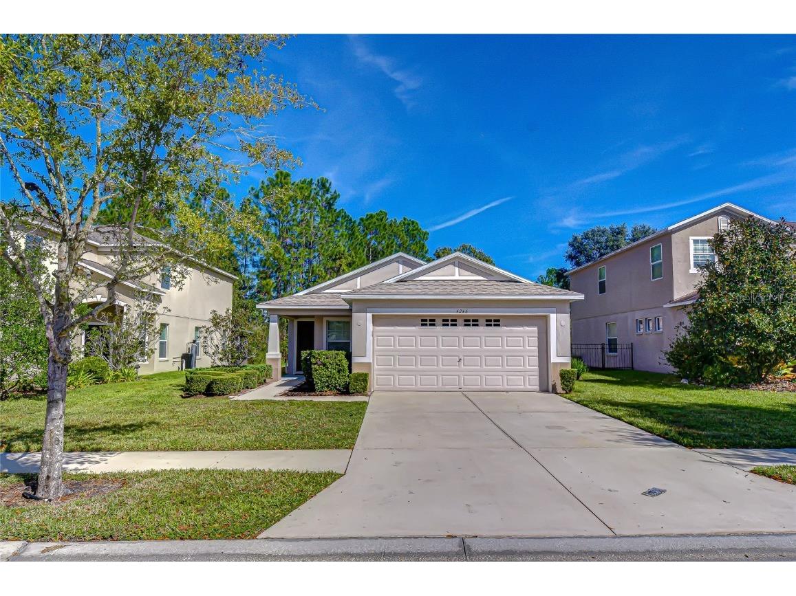 4246 Warwick Hills Drive Wesley Chapel FL 33543 TB8447581 image38