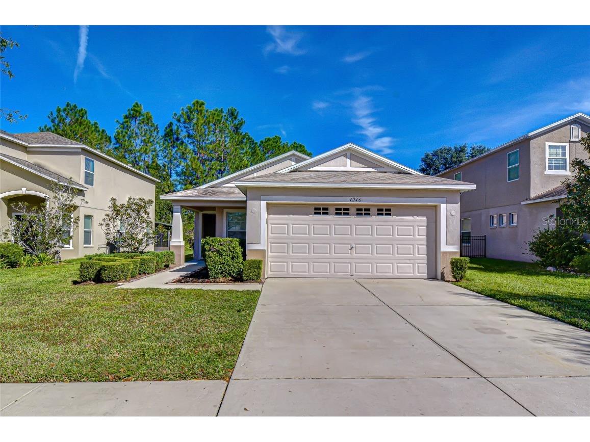 4246 Warwick Hills Drive Wesley Chapel FL 33543 TB8447581 image4