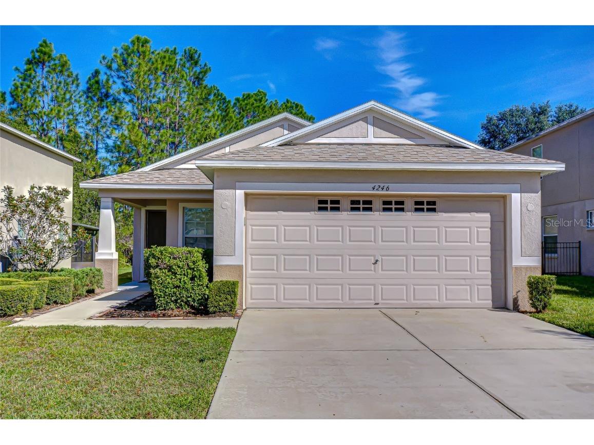 4246 Warwick Hills Drive Wesley Chapel FL 33543 TB8447581 image5