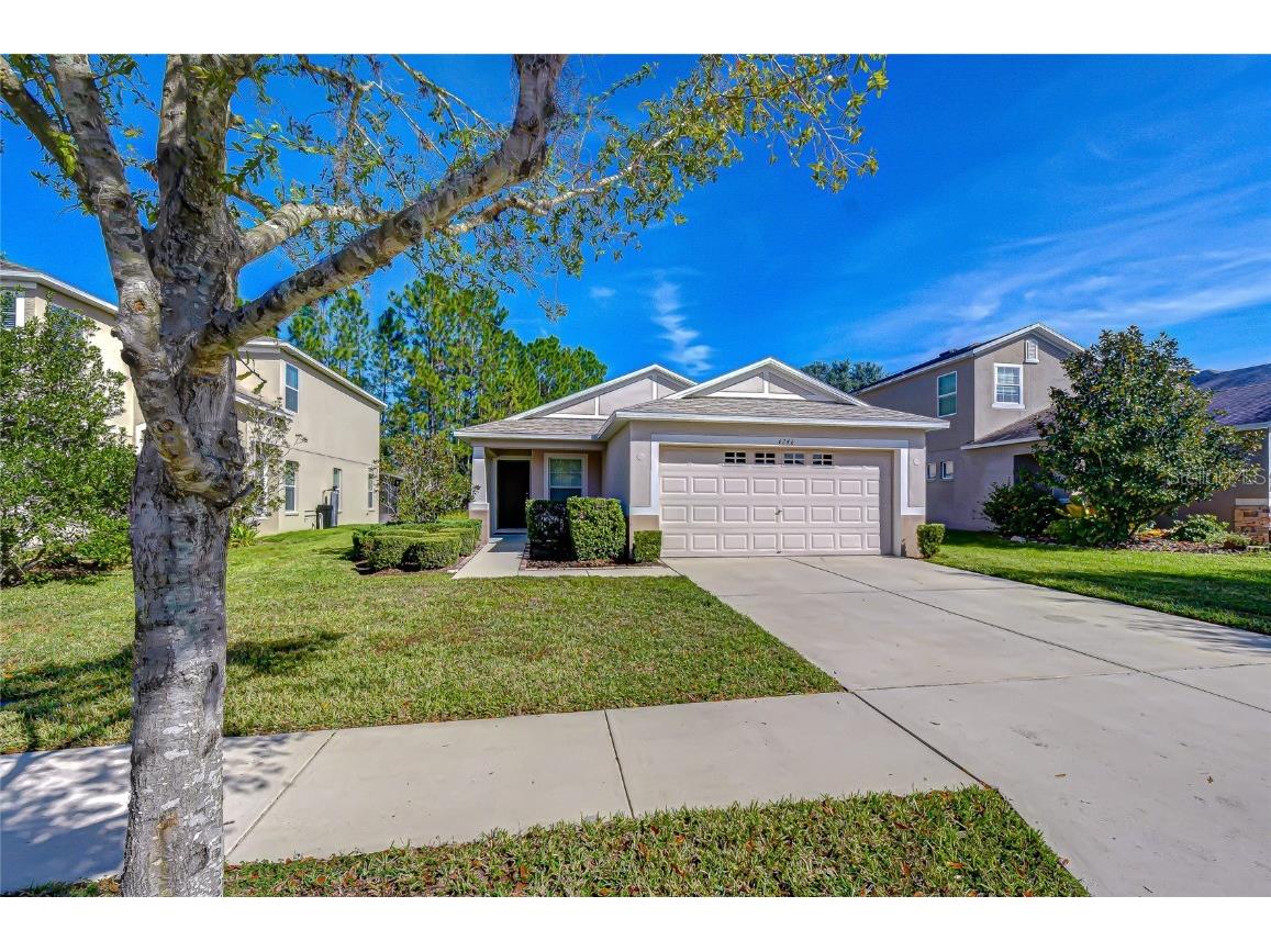 4246 Warwick Hills Drive Wesley Chapel FL 33543 TB8447581 image6