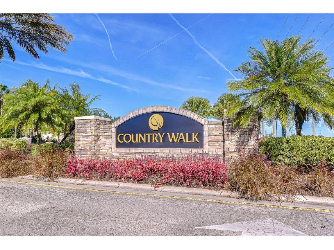 4246 Warwick Hills Drive Wesley Chapel FL 33543 TB8447581 image86