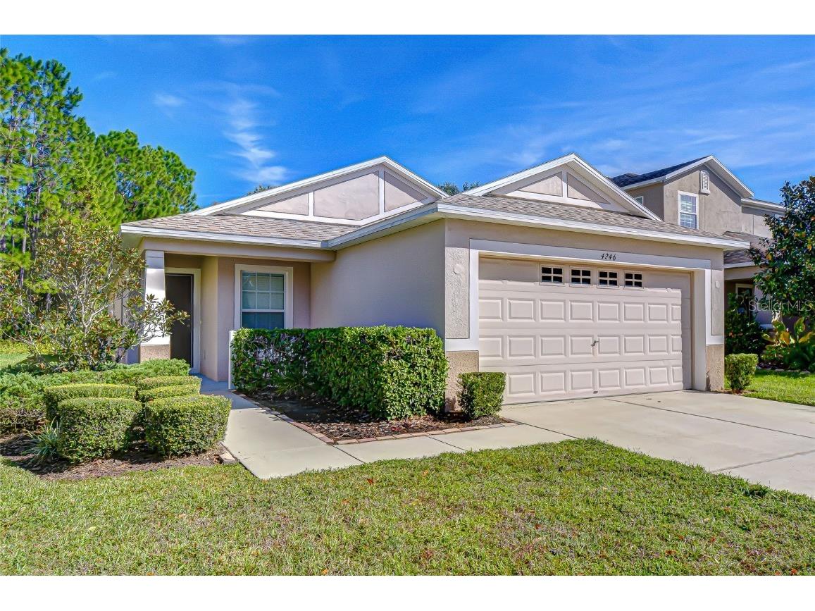 4246 Warwick Hills Drive Wesley Chapel FL 33543 TB8447581 image9