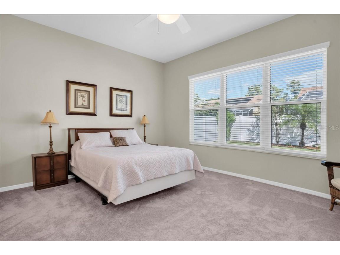 4247 Ellinwood Boulevard Palm Harbor FL 34685 W7880070 image17