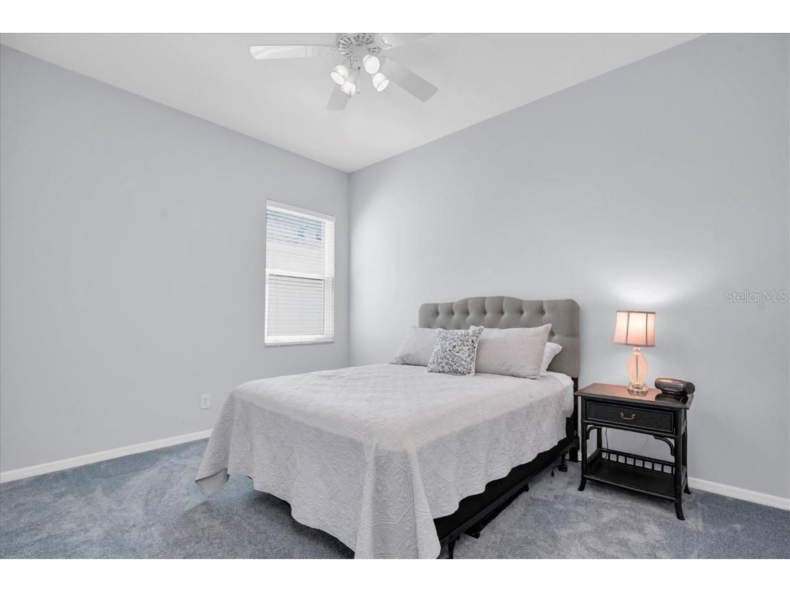 4247 Ellinwood Boulevard Palm Harbor FL 34685 W7880070 image21