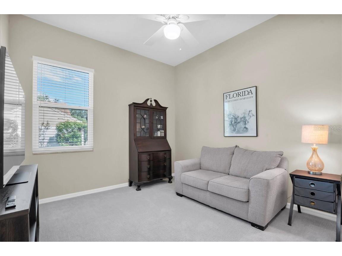 4247 Ellinwood Boulevard Palm Harbor FL 34685 W7880070 image23