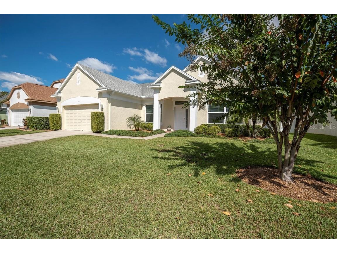 4247 Ellinwood Boulevard Palm Harbor FL 34685 W7880070 image29