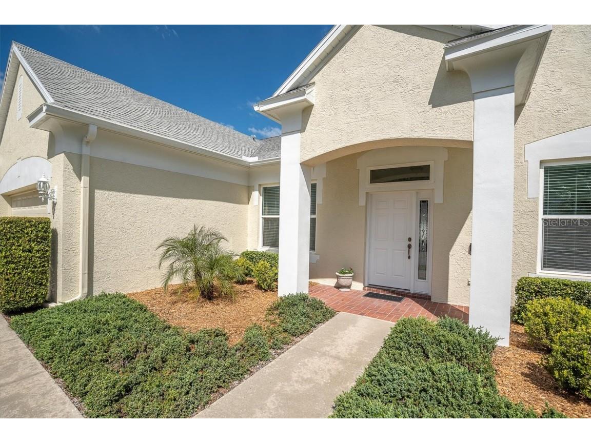 4247 Ellinwood Boulevard Palm Harbor FL 34685 W7880070 image3