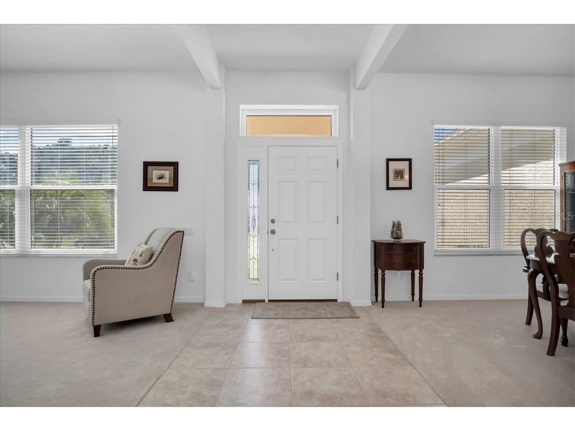 4247 Ellinwood Boulevard Palm Harbor FL 34685 W7880070 image4