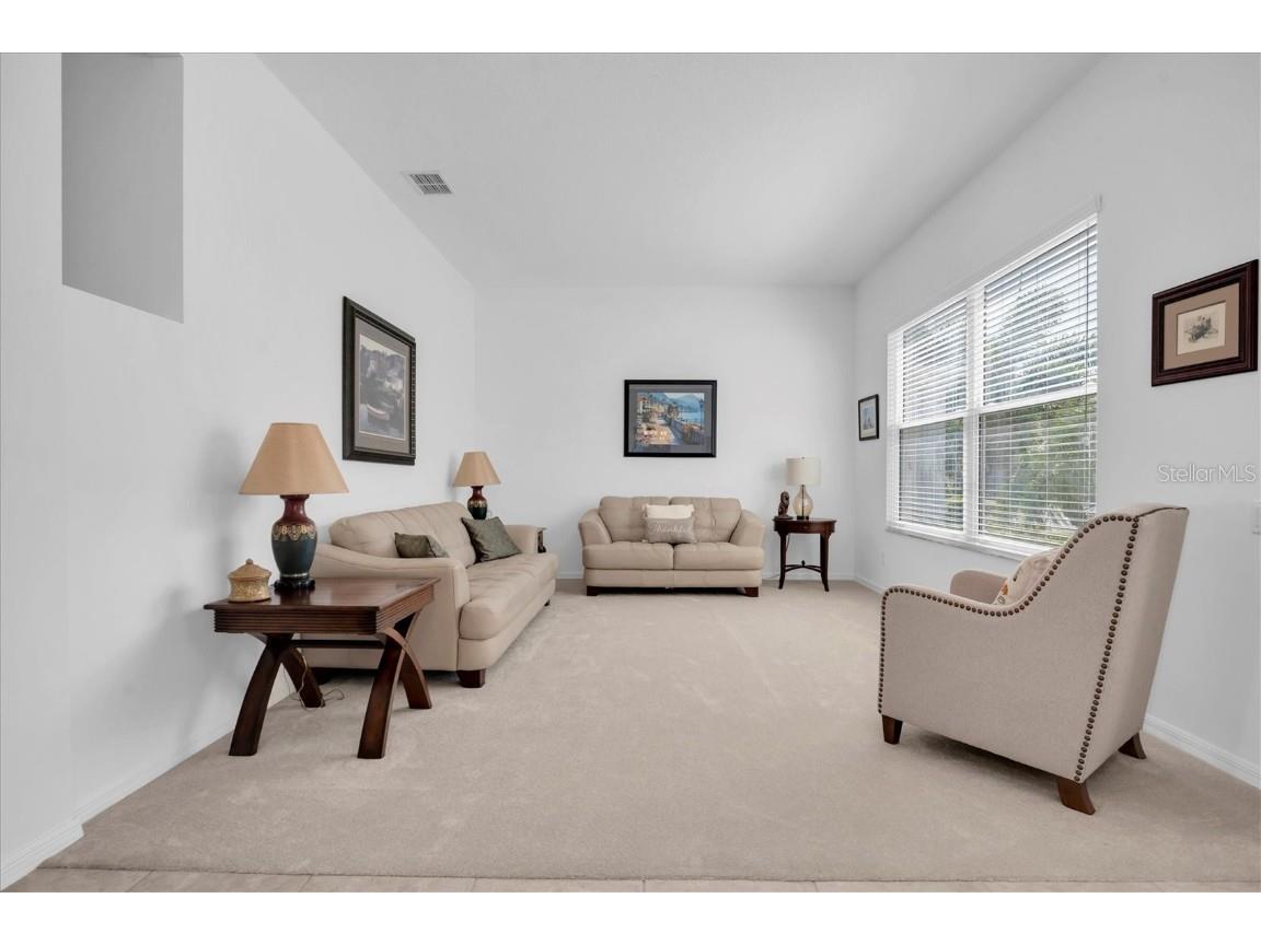 4247 Ellinwood Boulevard Palm Harbor FL 34685 W7880070 image5