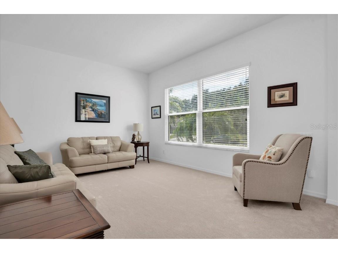 4247 Ellinwood Boulevard Palm Harbor FL 34685 W7880070 image6