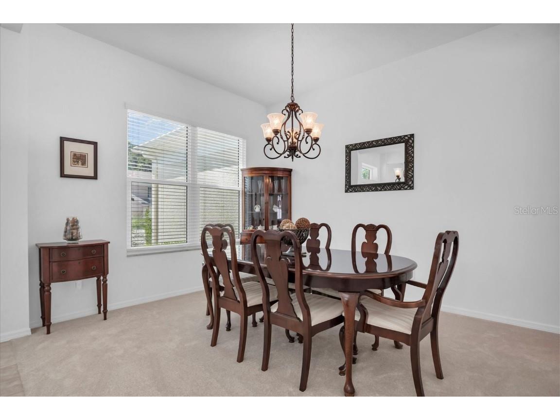 4247 Ellinwood Boulevard Palm Harbor FL 34685 W7880070 image7