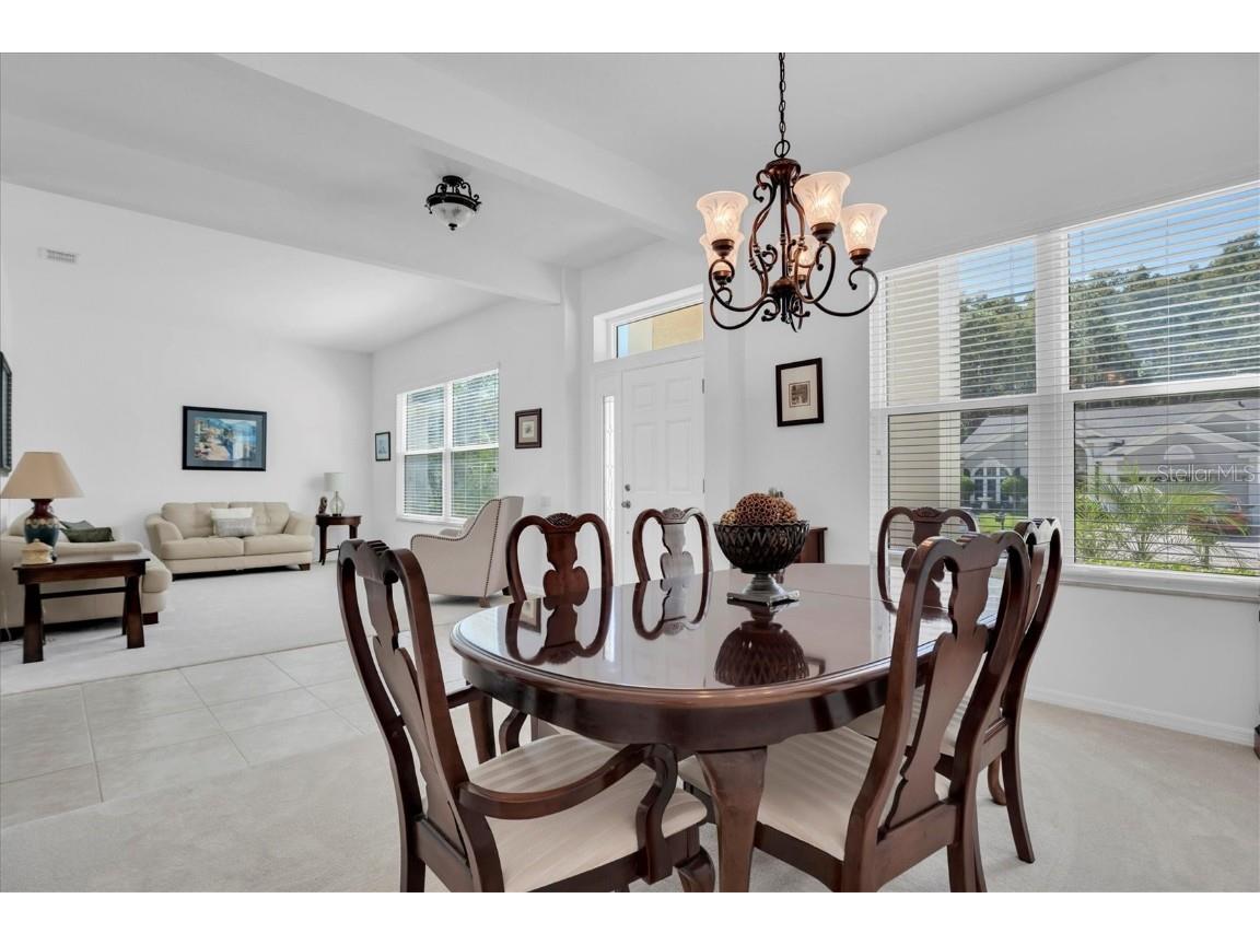 4247 Ellinwood Boulevard Palm Harbor FL 34685 W7880070 image8