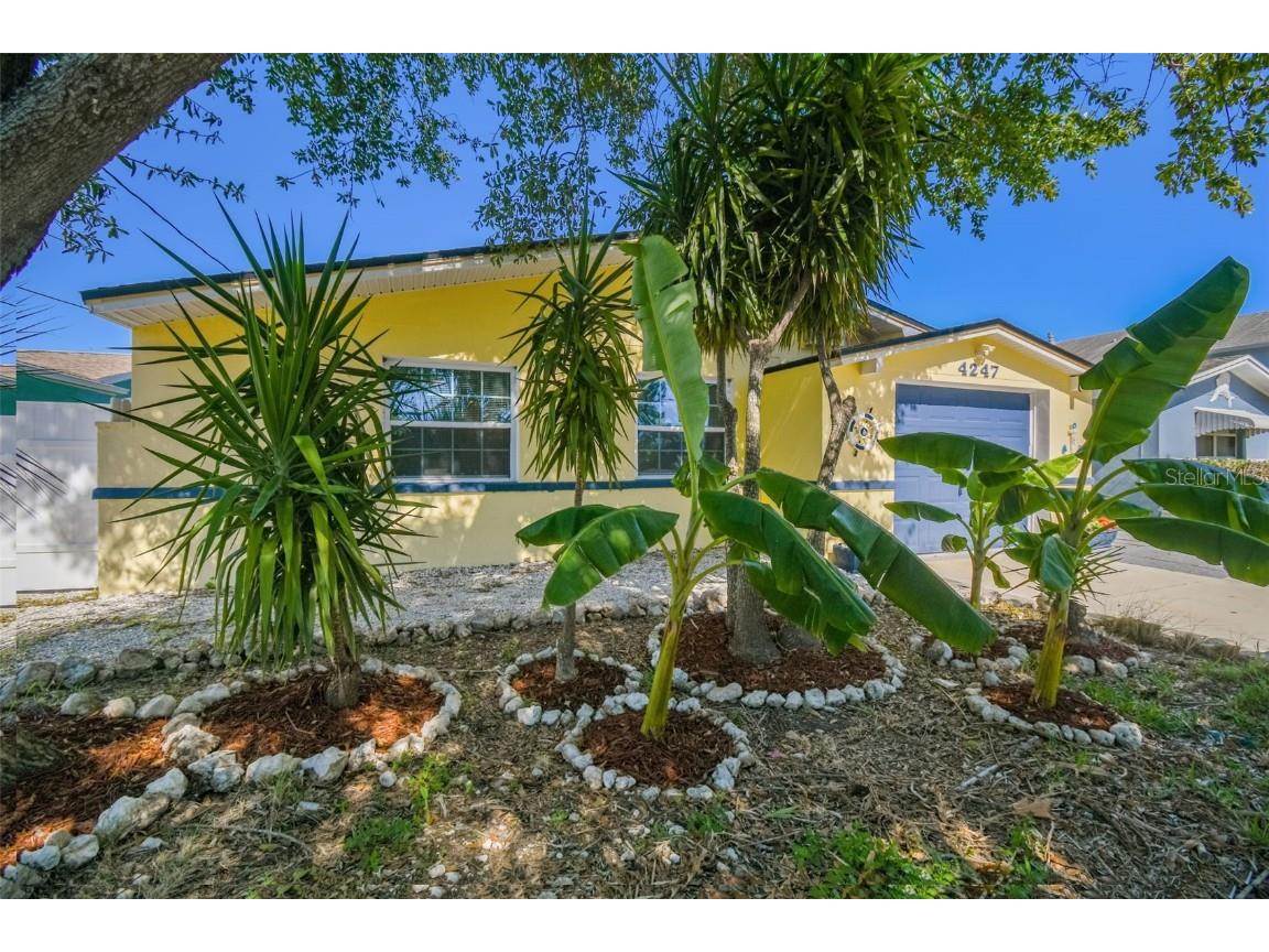 4247 Floramar Terrace New Port Richey FL 34652 TB8439566 image2