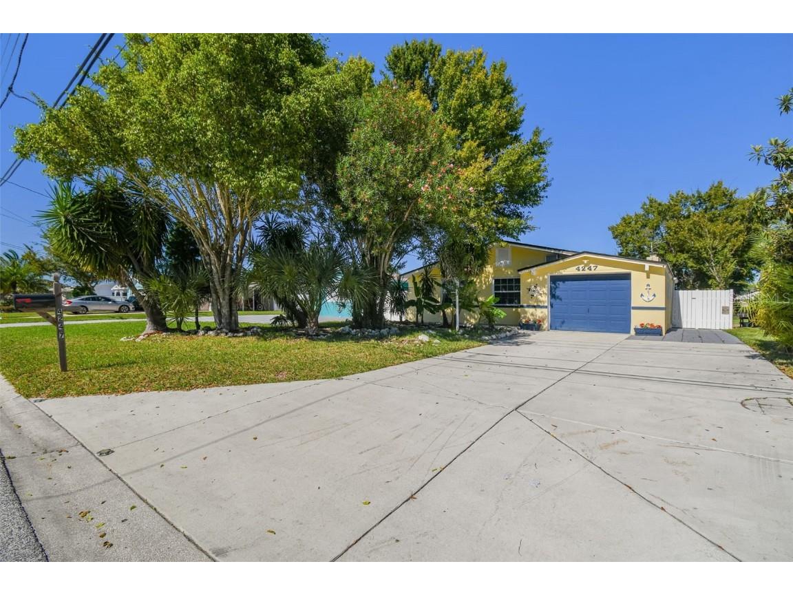 4247 Floramar Terrace New Port Richey FL 34652 TB8439566 image5