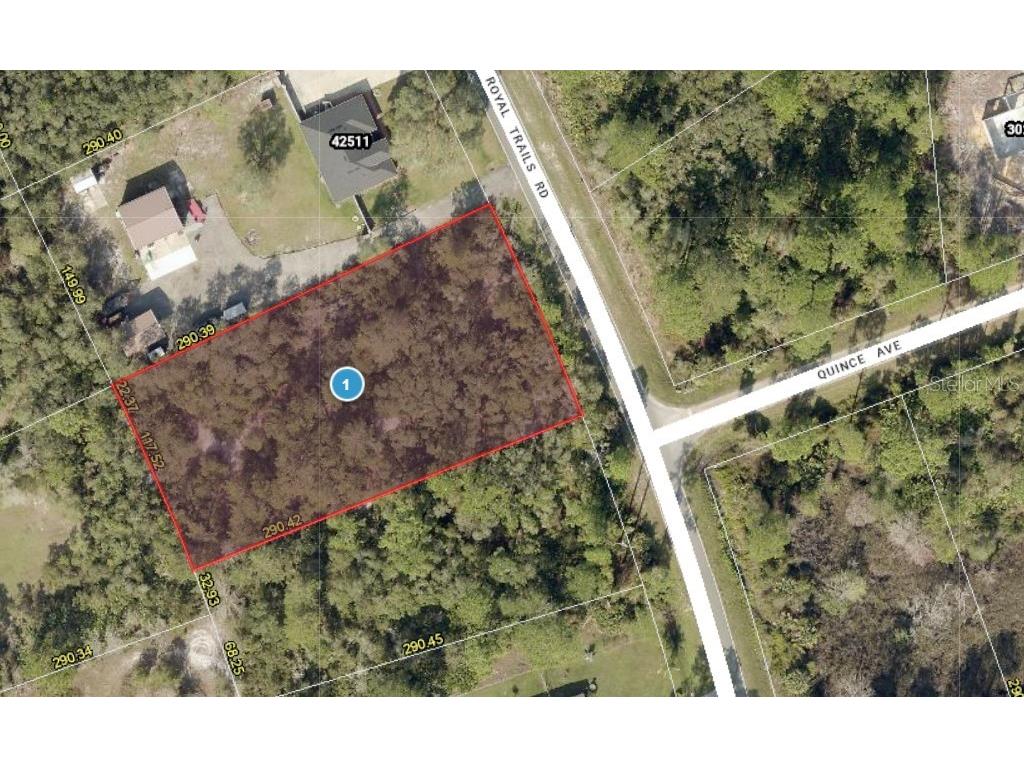 42475 Royal Trails Road Eustis FL 32726 - LAKE NORRIS ST JOHNS RIVER G5106861 image1