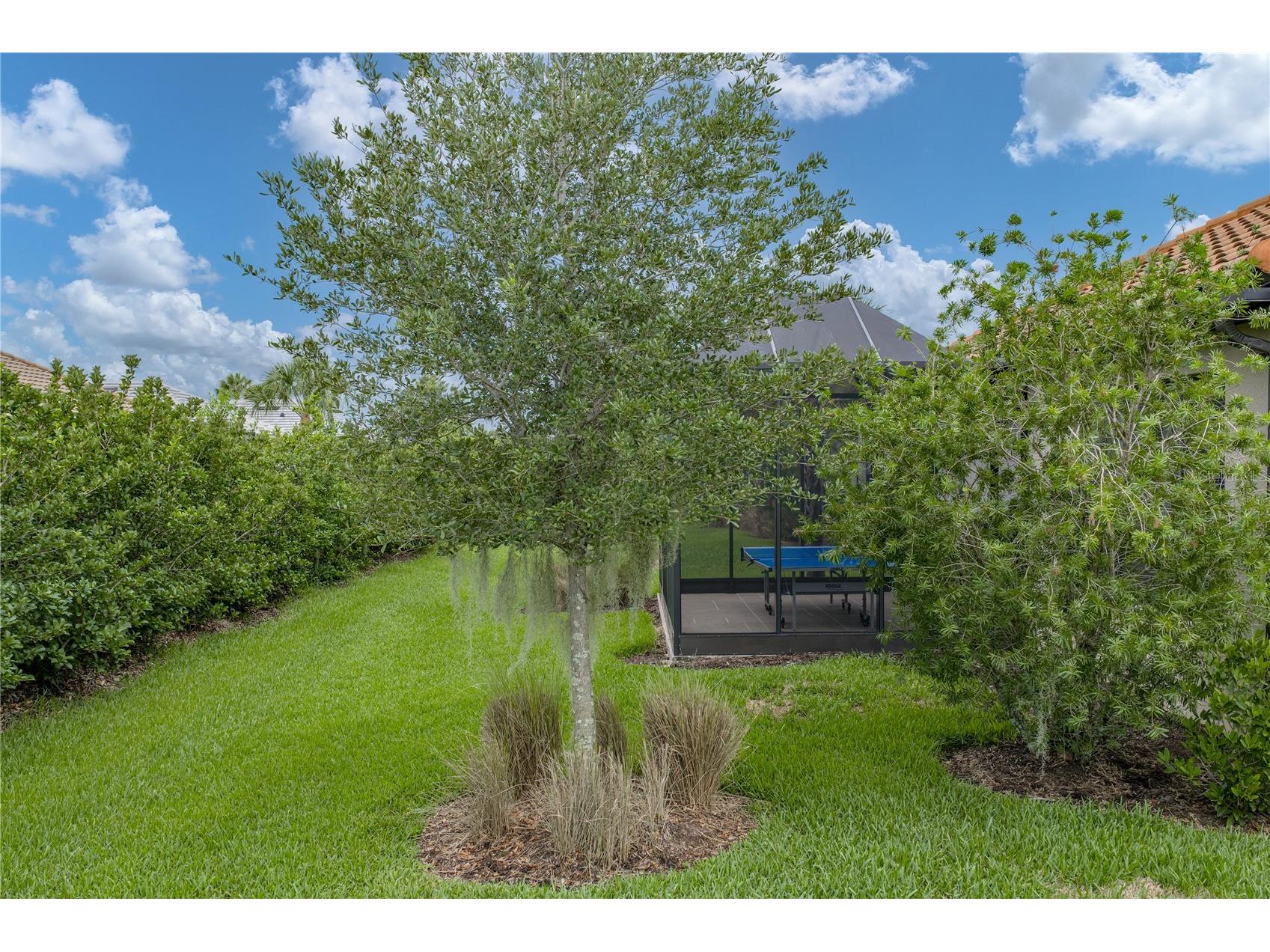 4248 Cairoli Court Wesley Chapel FL 33543 TB8527252 image62