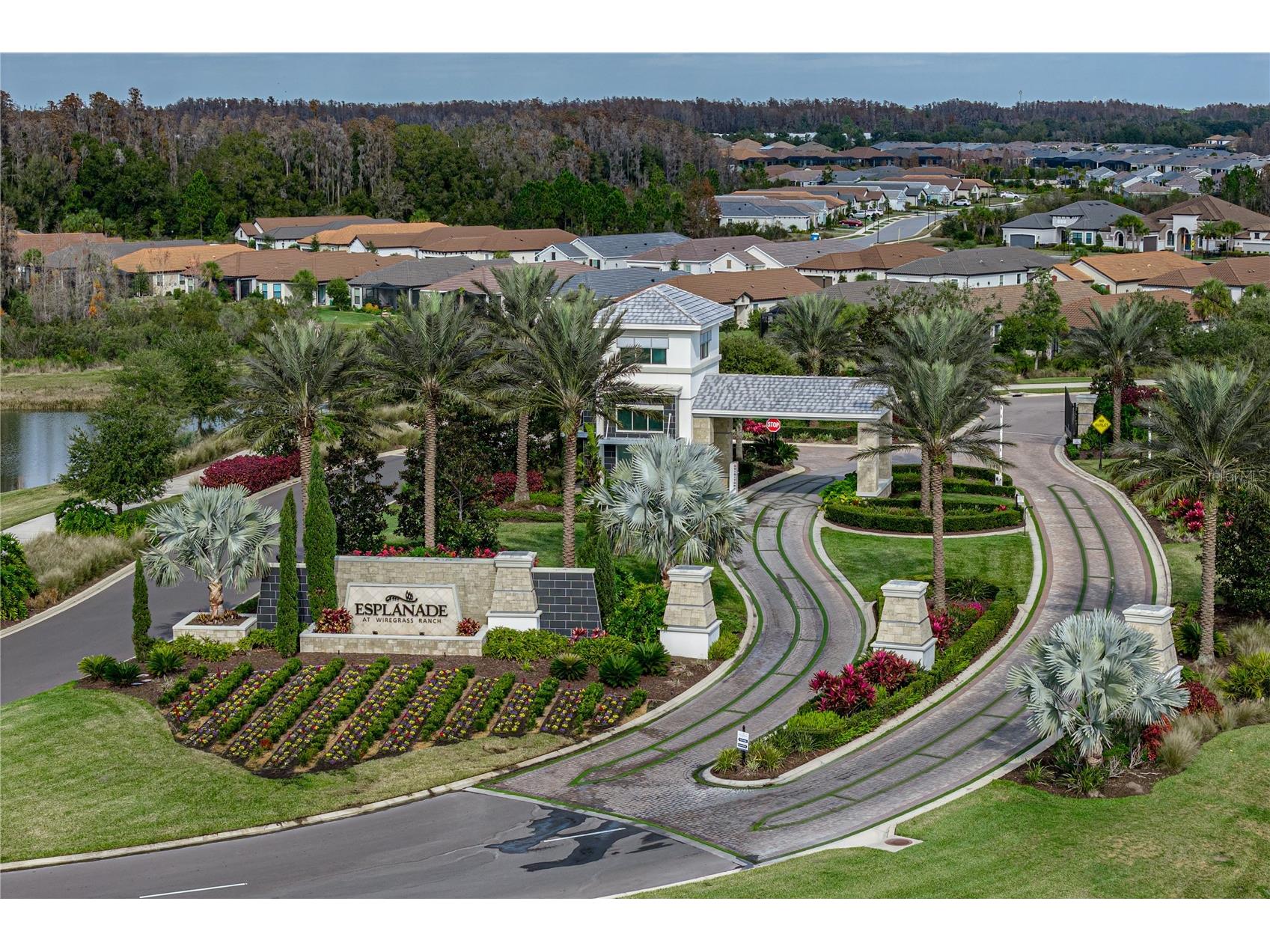 4248 Cairoli Court Wesley Chapel FL 33543 TB8527252 image68