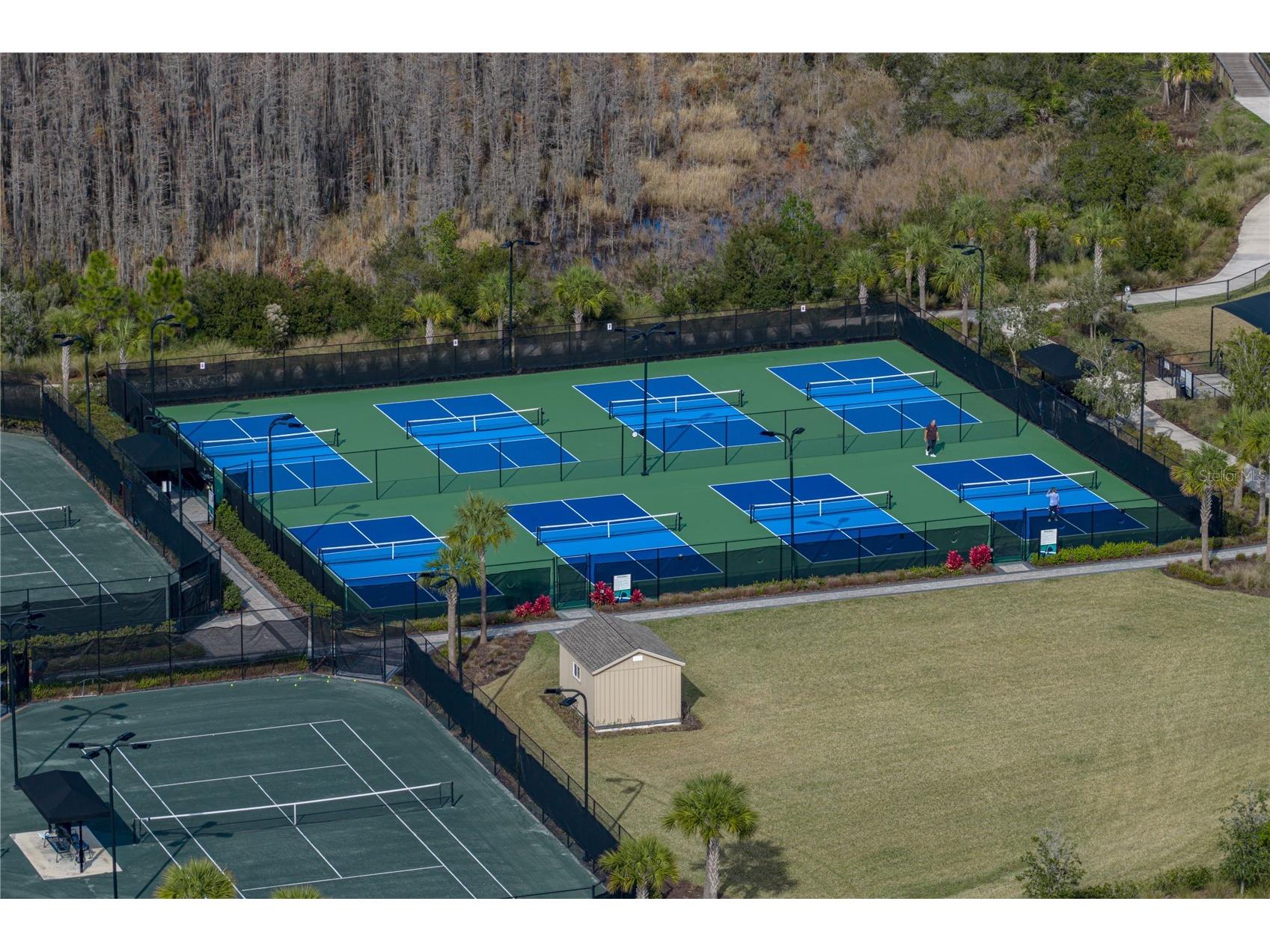 4248 Cairoli Court Wesley Chapel FL 33543 TB8527252 image88