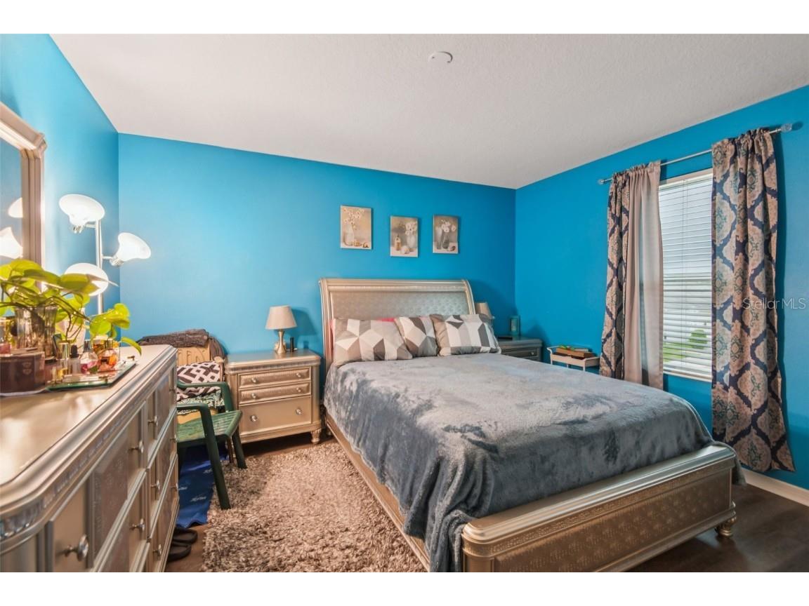 4248 Moon Shadow Loop Mulberry FL 33860 TB8426857 image23